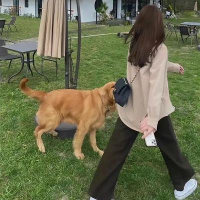 精选推荐